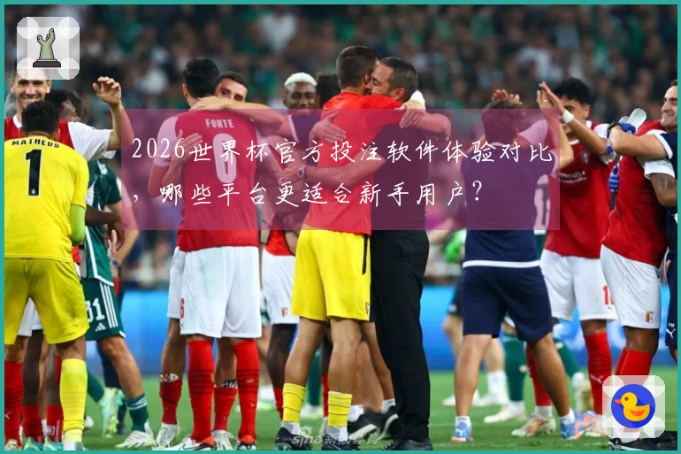 2026世界杯官方投注软件体验对比，哪些平台更适合新手用户？