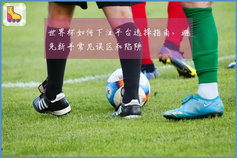 世界杯如何下注平台选择指南，避免新手常见误区和陷阱