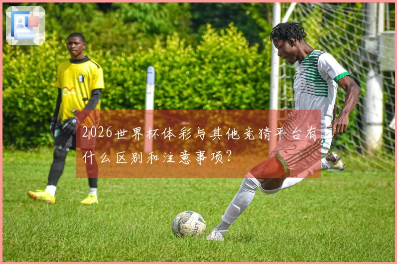 2026世界杯体彩与其他竞猜平台有什么区别和注意事项？