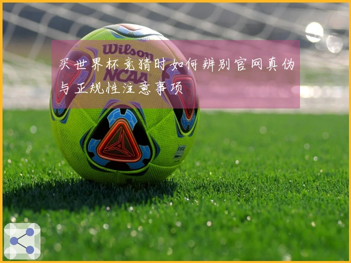 买世界杯竞猜时如何辨别官网真伪与正规性注意事项