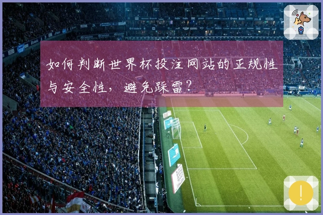 如何判断世界杯投注网站的正规性与安全性，避免踩雷？