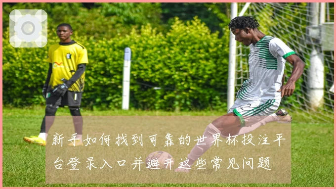 新手如何找到可靠的世界杯投注平台登录入口并避开这些常见问题