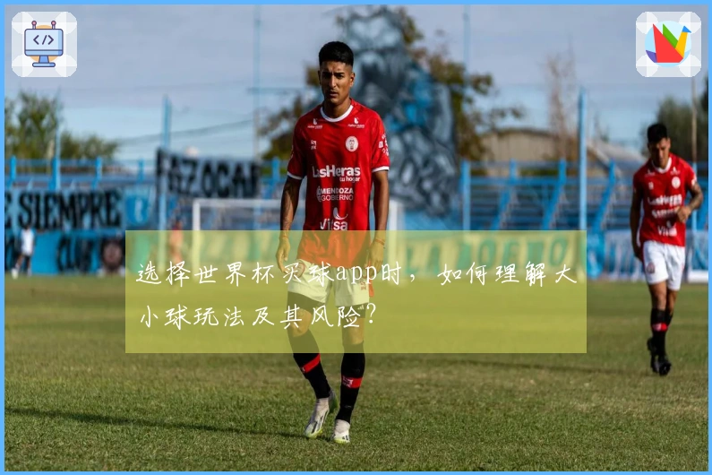 选择世界杯买球app时，如何理解大小球玩法及其风险？