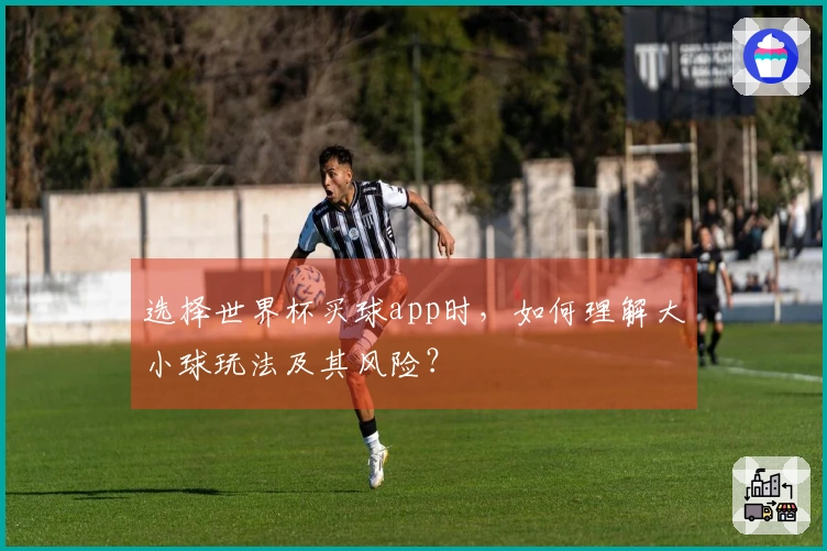 选择世界杯买球app时，如何理解大小球玩法及其风险？