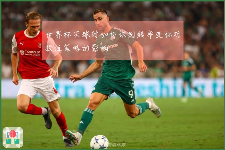 世界杯买球时如何识别赔率变化对投注策略的影响