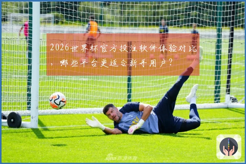 2026世界杯官方投注软件体验对比，哪些平台更适合新手用户？