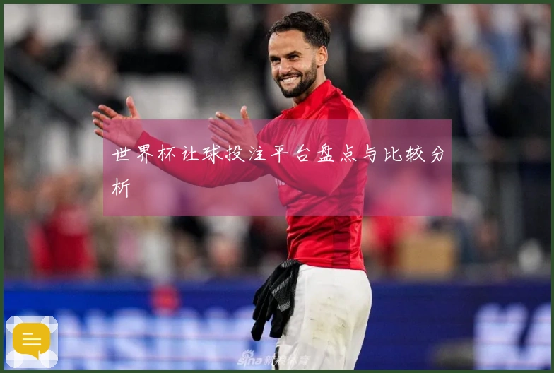 世界杯让球投注平台盘点与比较分析