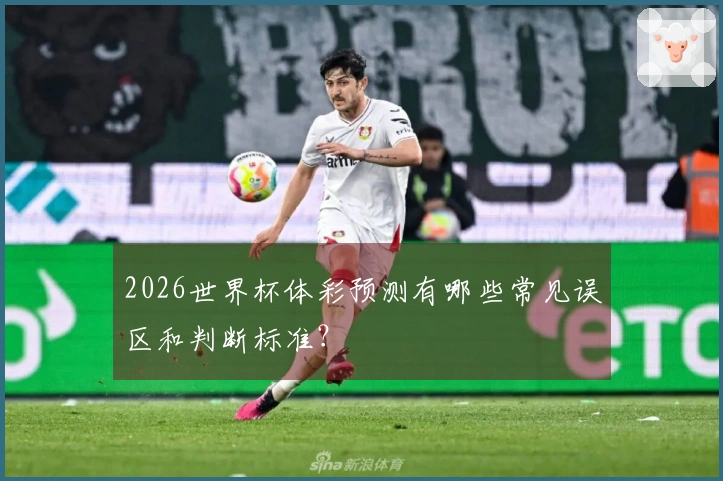 2026世界杯体彩预测有哪些常见误区和判断标准？