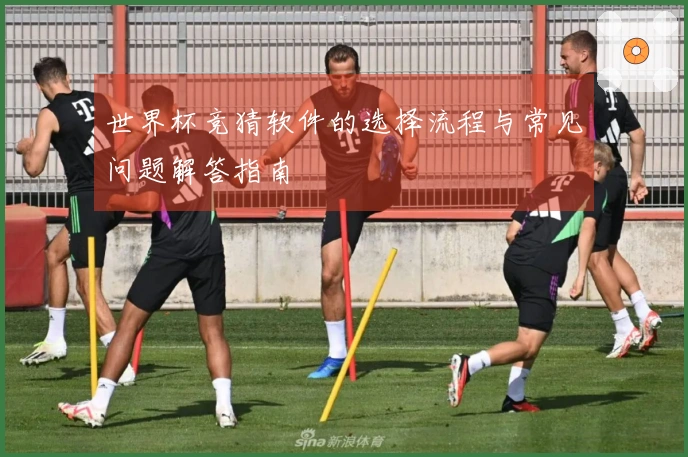 世界杯竞猜软件的选择流程与常见问题解答指南