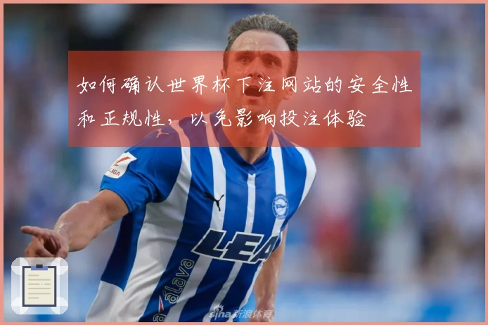 如何确认世界杯下注网站的安全性和正规性，以免影响投注体验