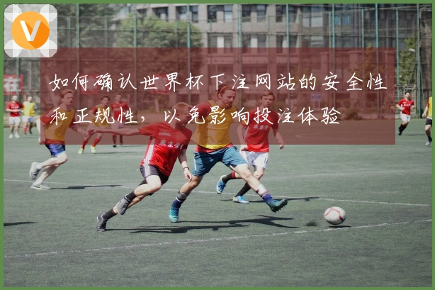 如何确认世界杯下注网站的安全性和正规性，以免影响投注体验