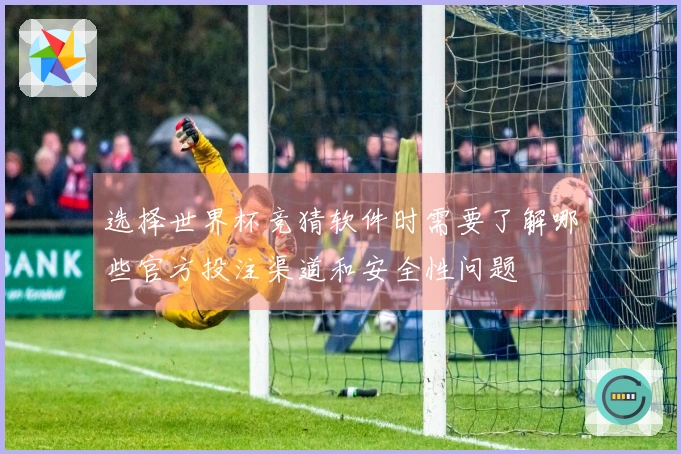 选择世界杯竞猜软件时需要了解哪些官方投注渠道和安全性问题