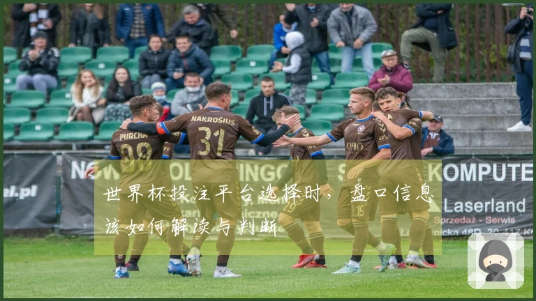 世界杯投注平台选择时，盘口信息该如何解读与判断