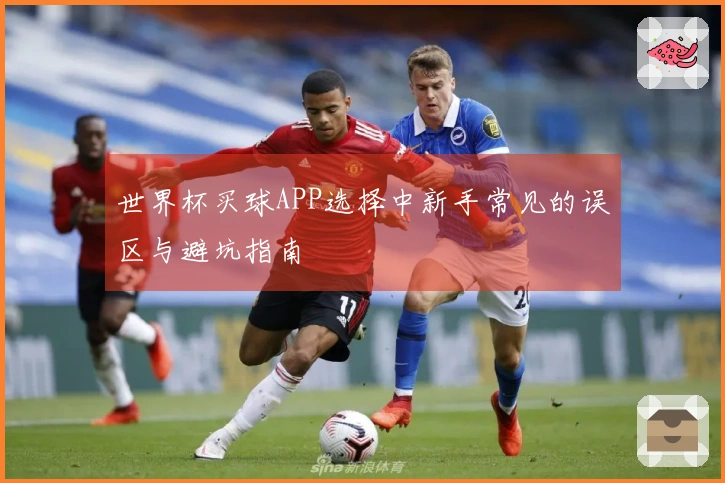 世界杯买球APP选择中新手常见的误区与避坑指南