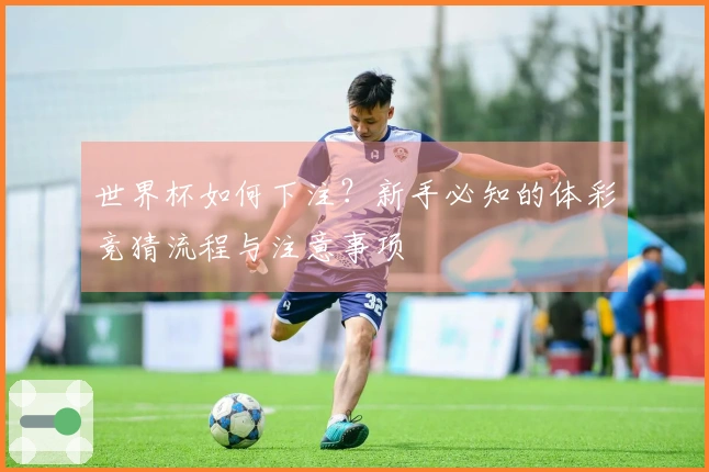 世界杯如何下注？新手必知的体彩竞猜流程与注意事项