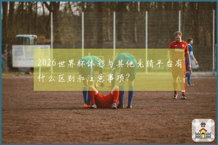 2026世界杯体彩与其他竞猜平台有什么区别和注意事项？